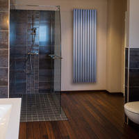 Deluxe Design Heizkörper Ember einlagig anthrazit 1800 x 588 x 60 (10 Paneele)